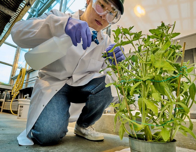 EEB Biodiversity Education and Research Greenhouses, United States